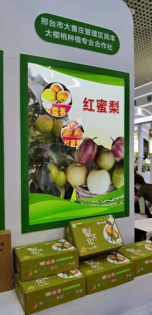 寧晉綠色農產品在廈門綠博會廣受歡迎，水產品零售表現搶眼
