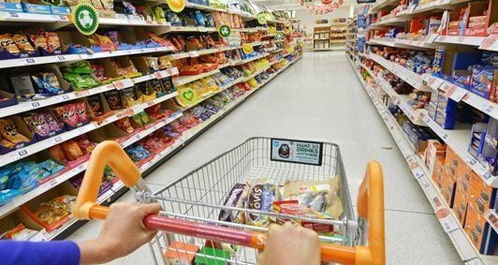 西芹 餐桌上的健康守護者與食用農產品零售新趨勢